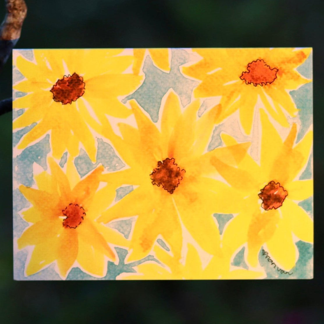 Black Eyed Susan Blue Background