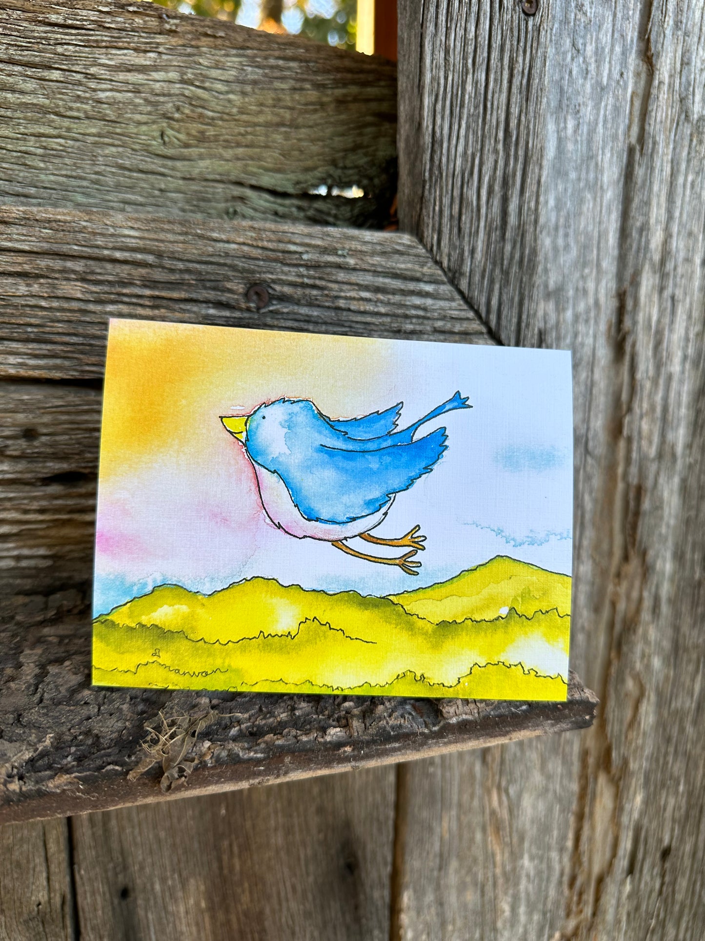 The Grace Bird