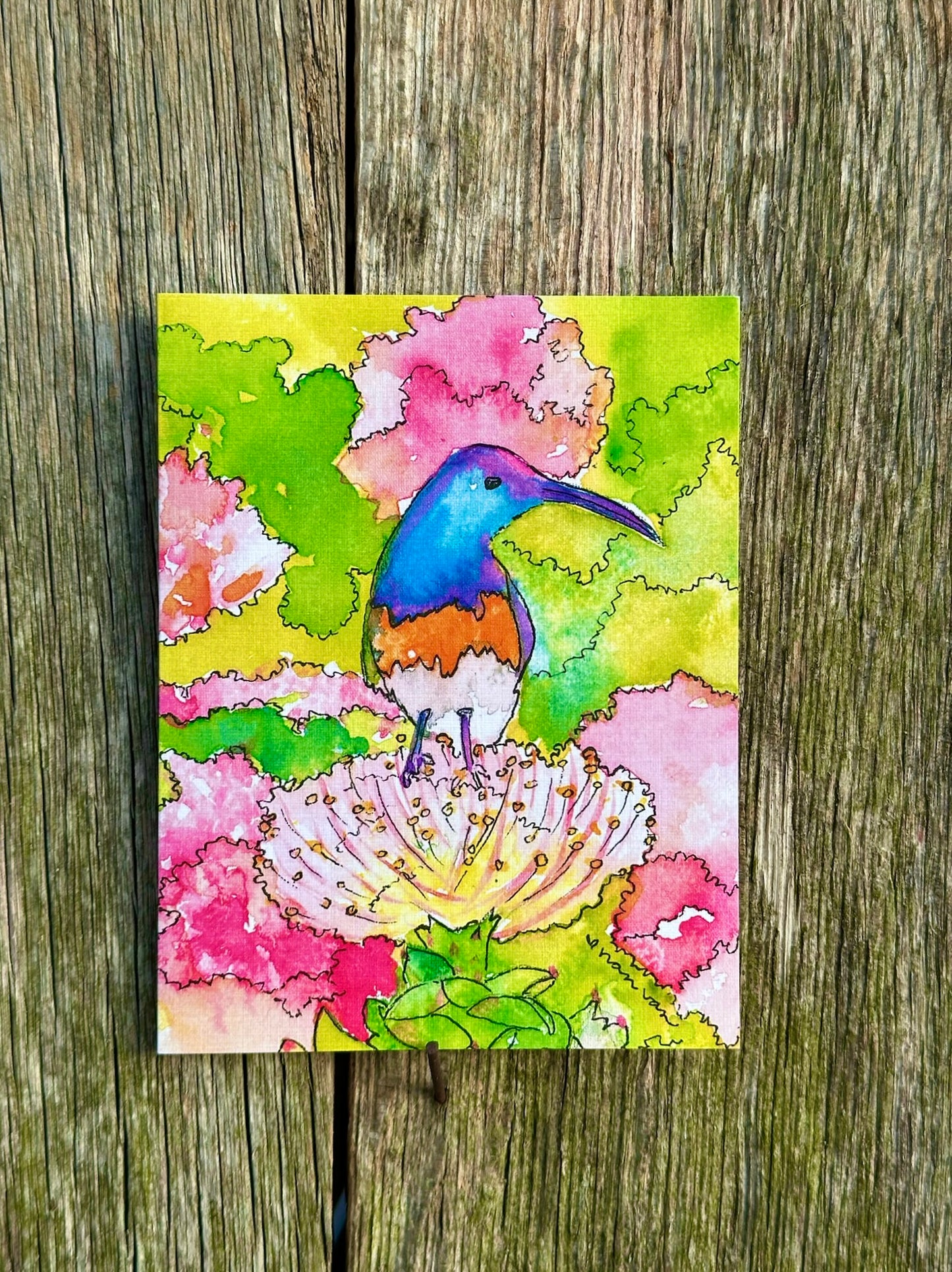 Not a hummingbird