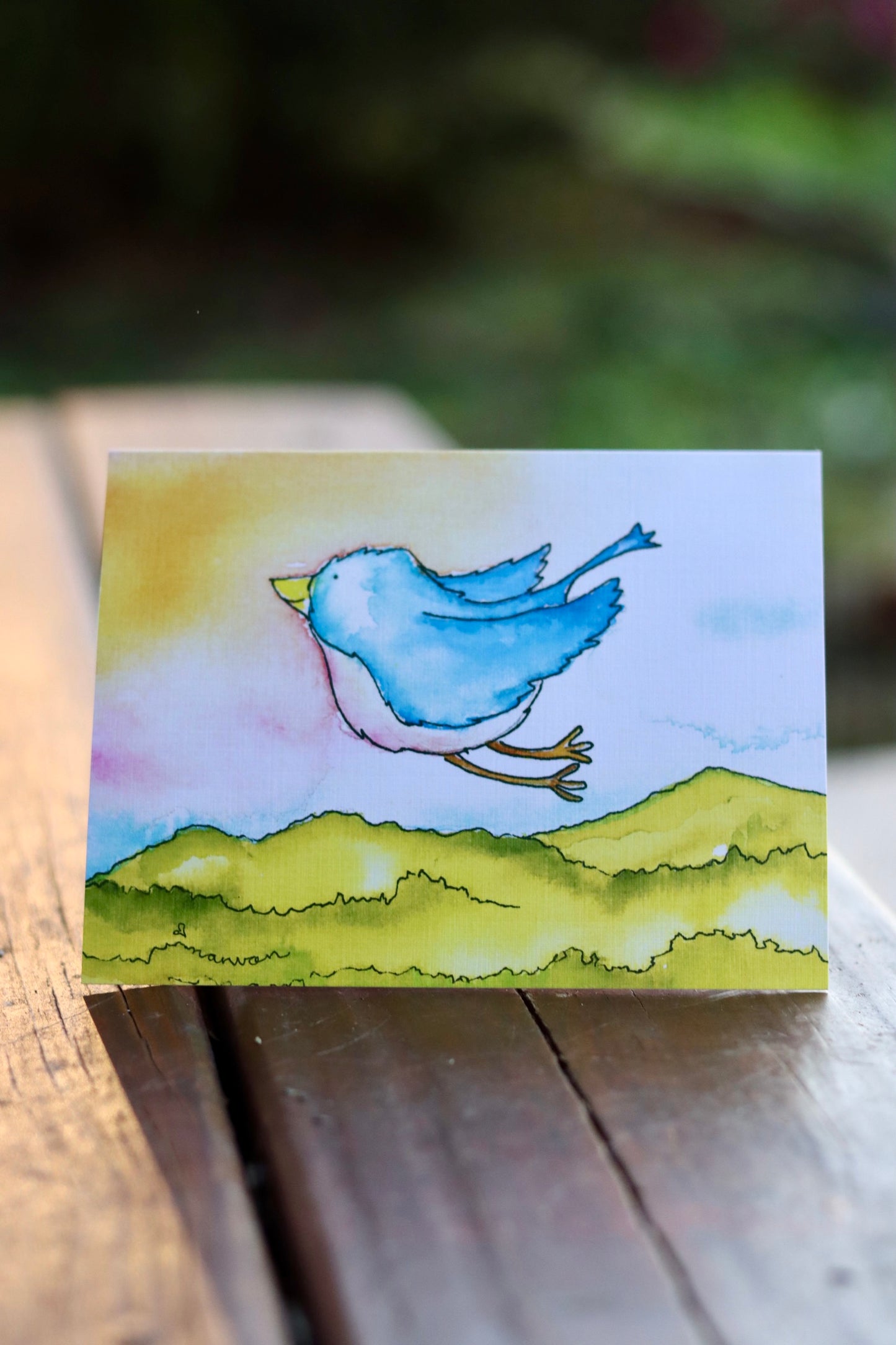 The Grace Bird