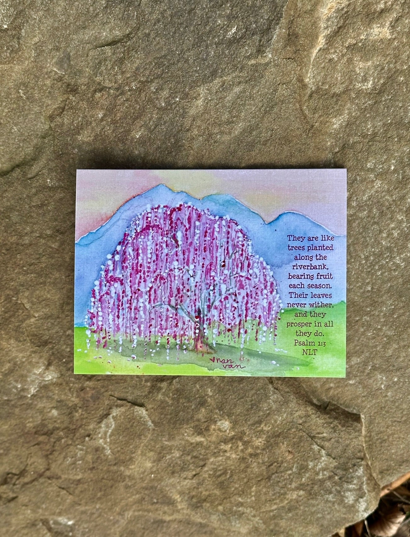 Psalm 1:3 with Weeping Plum Tree on Main St