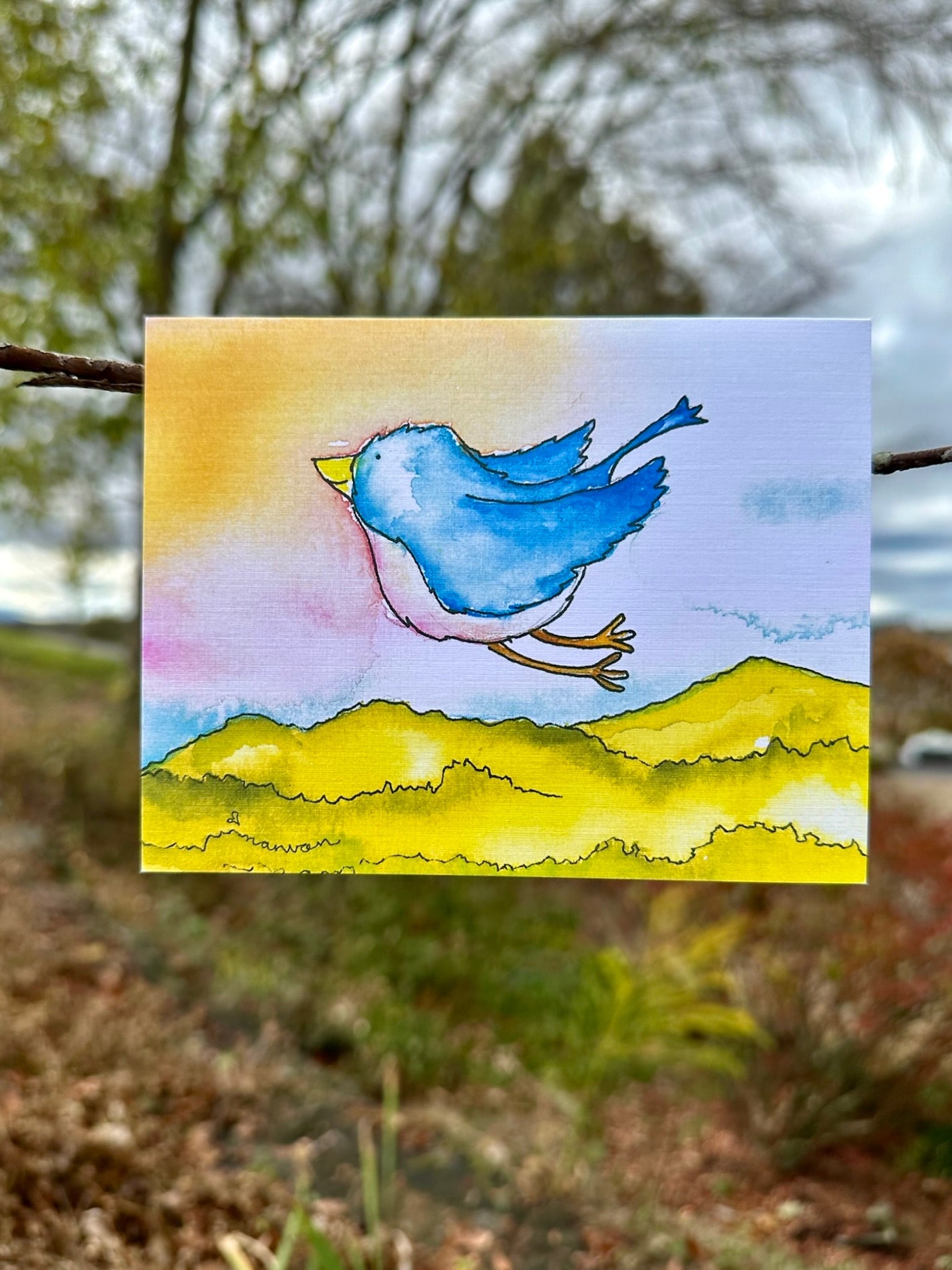Birdies!
