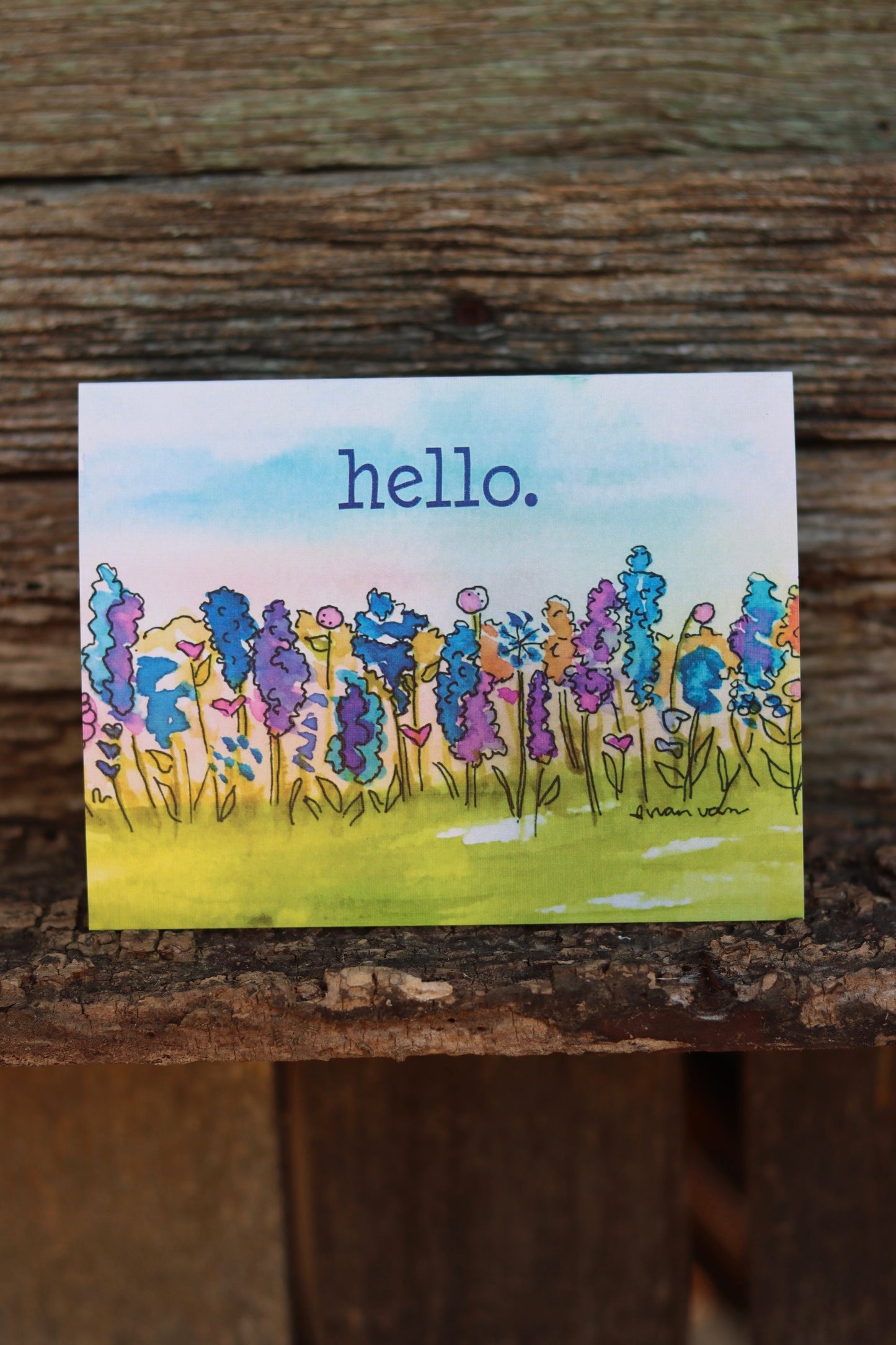 'Hello' Bluebonnets
