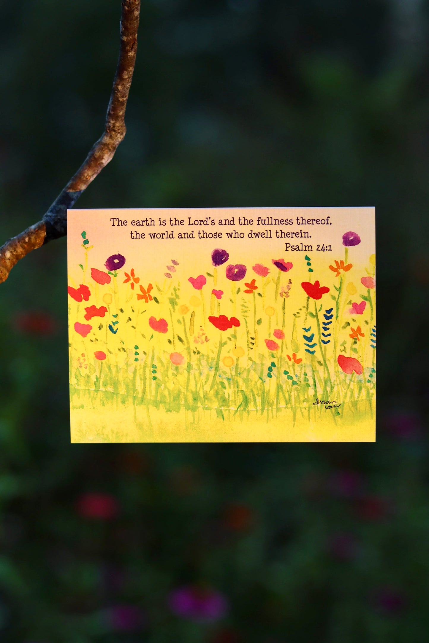 Wildflowers Psalms 24:1