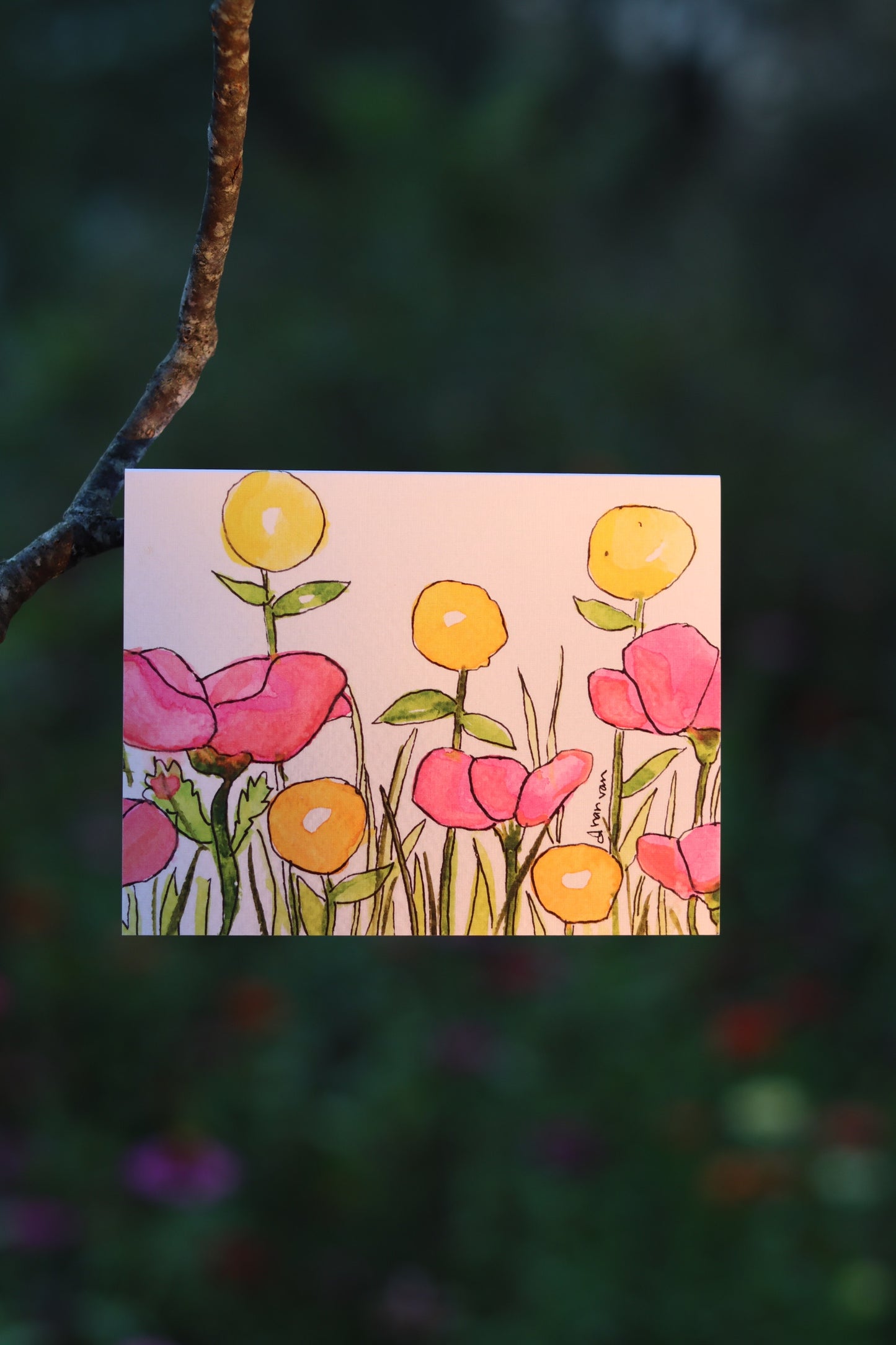 Pink Poppies with Round Yellow Flowers
