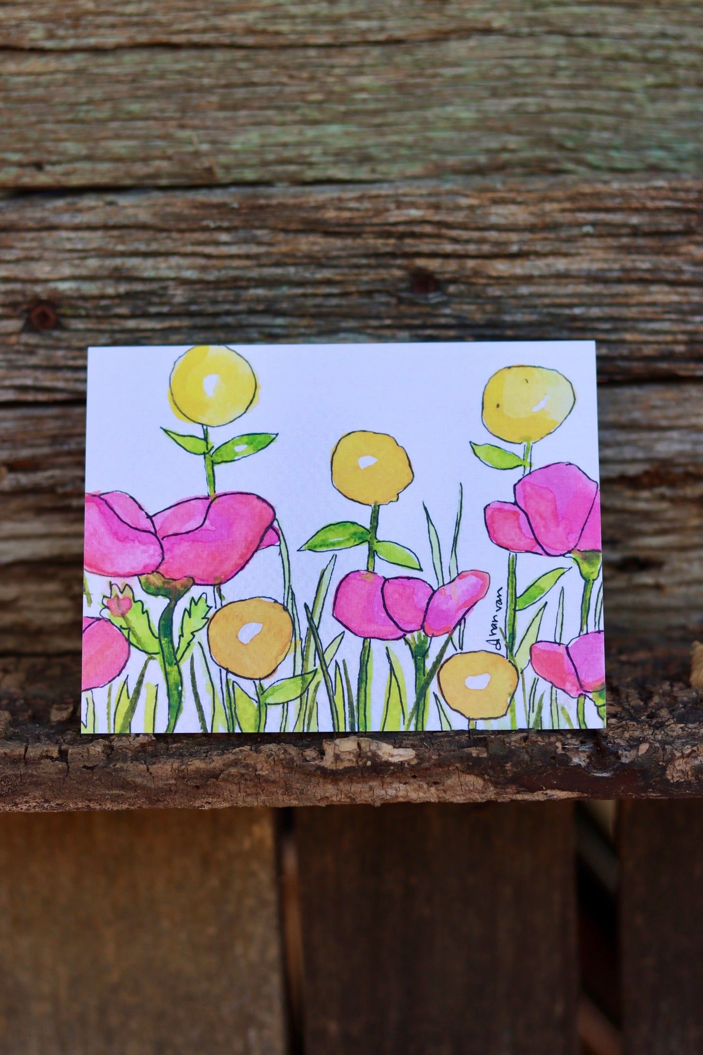 Pink Poppies with Round Yellow Flowers