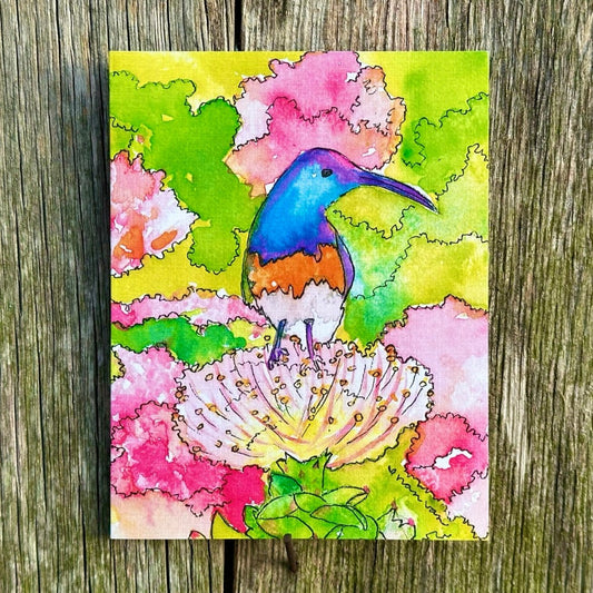 Beautiful Bird Bright Colored Bird Not a Hummingbird Standing in a flower patch