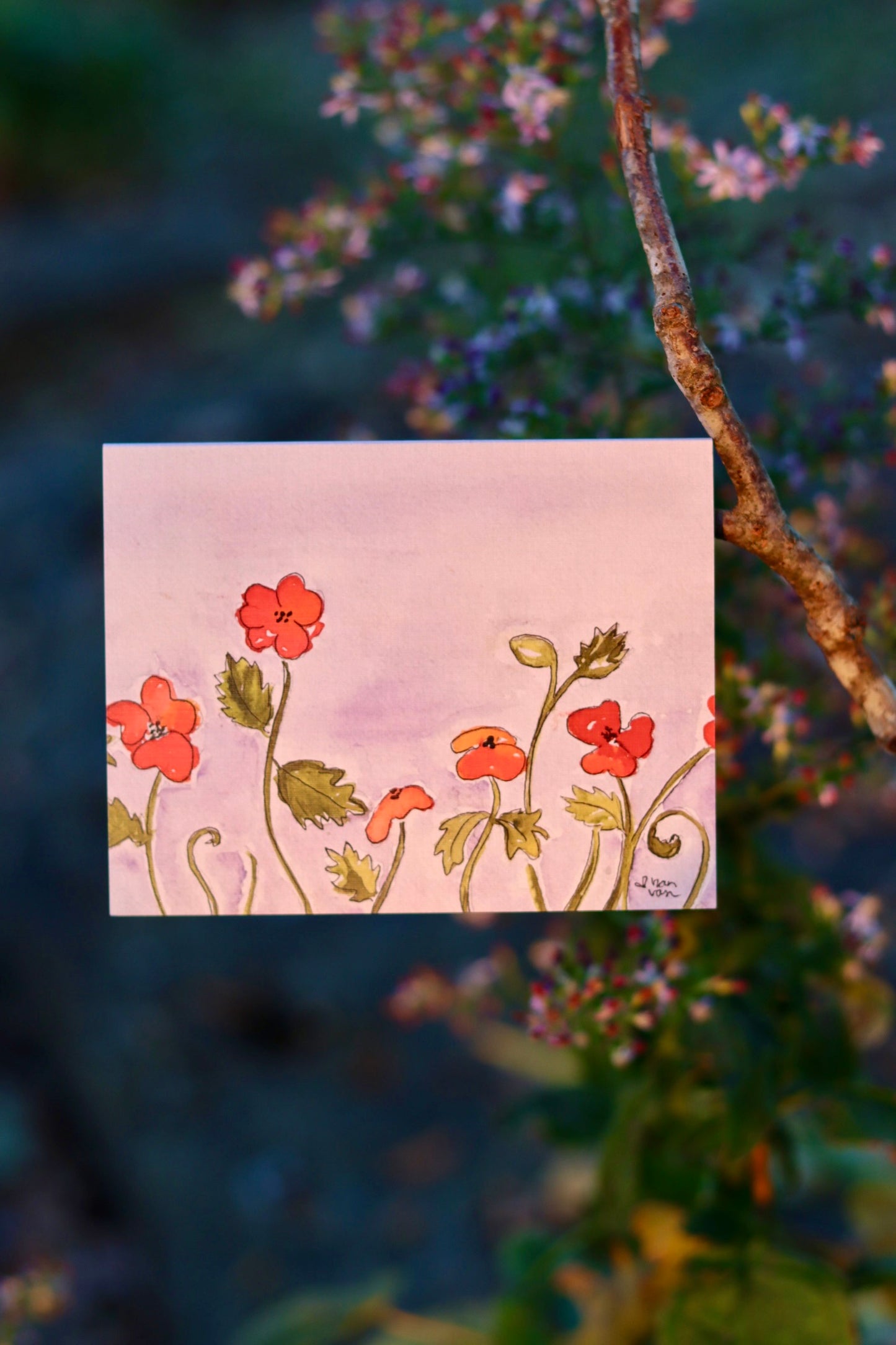 Red Poppy Purple Sky