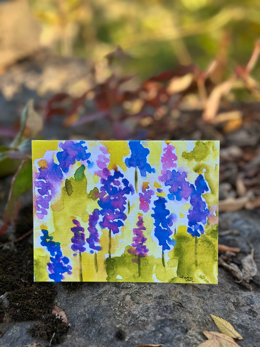 Bluebonnets