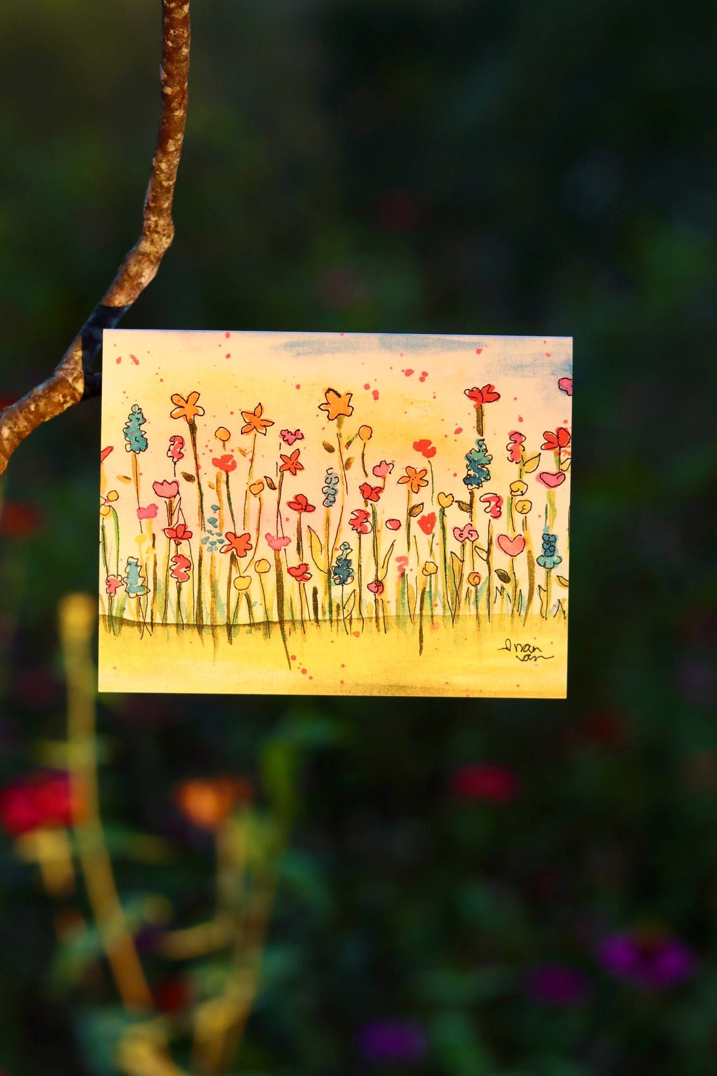 Wildflowers Bright and Colorful