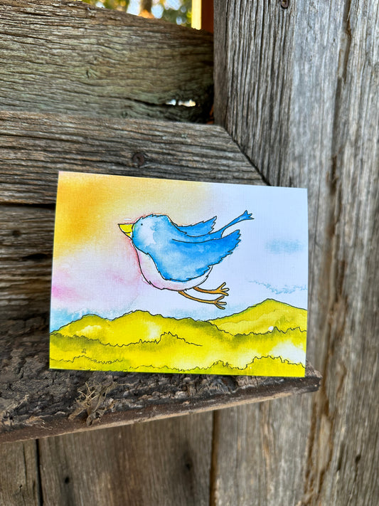 The Grace Bird