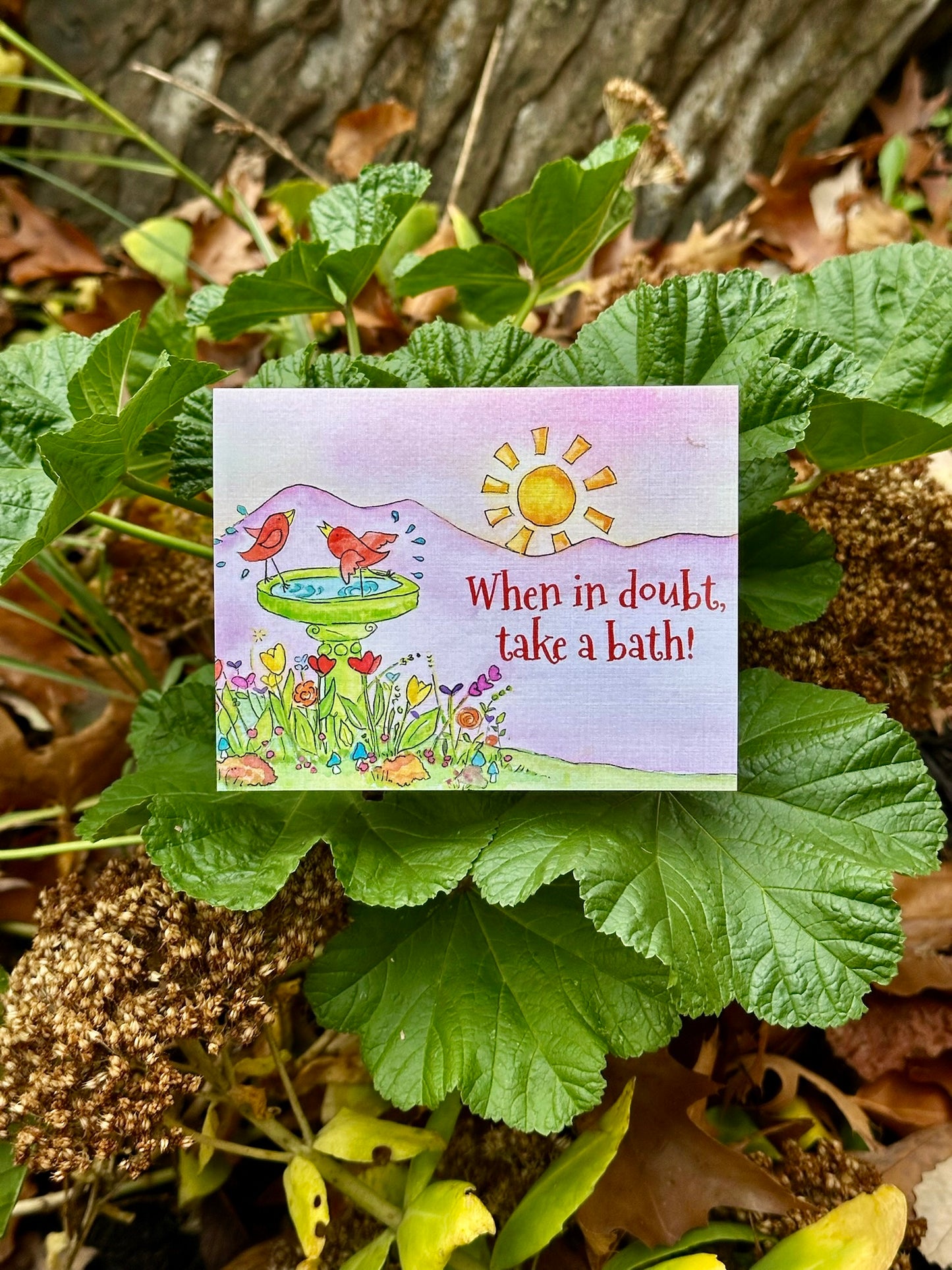 'When in Doubt Take a Bath' with Redbirds - Psalm 23:1-3
