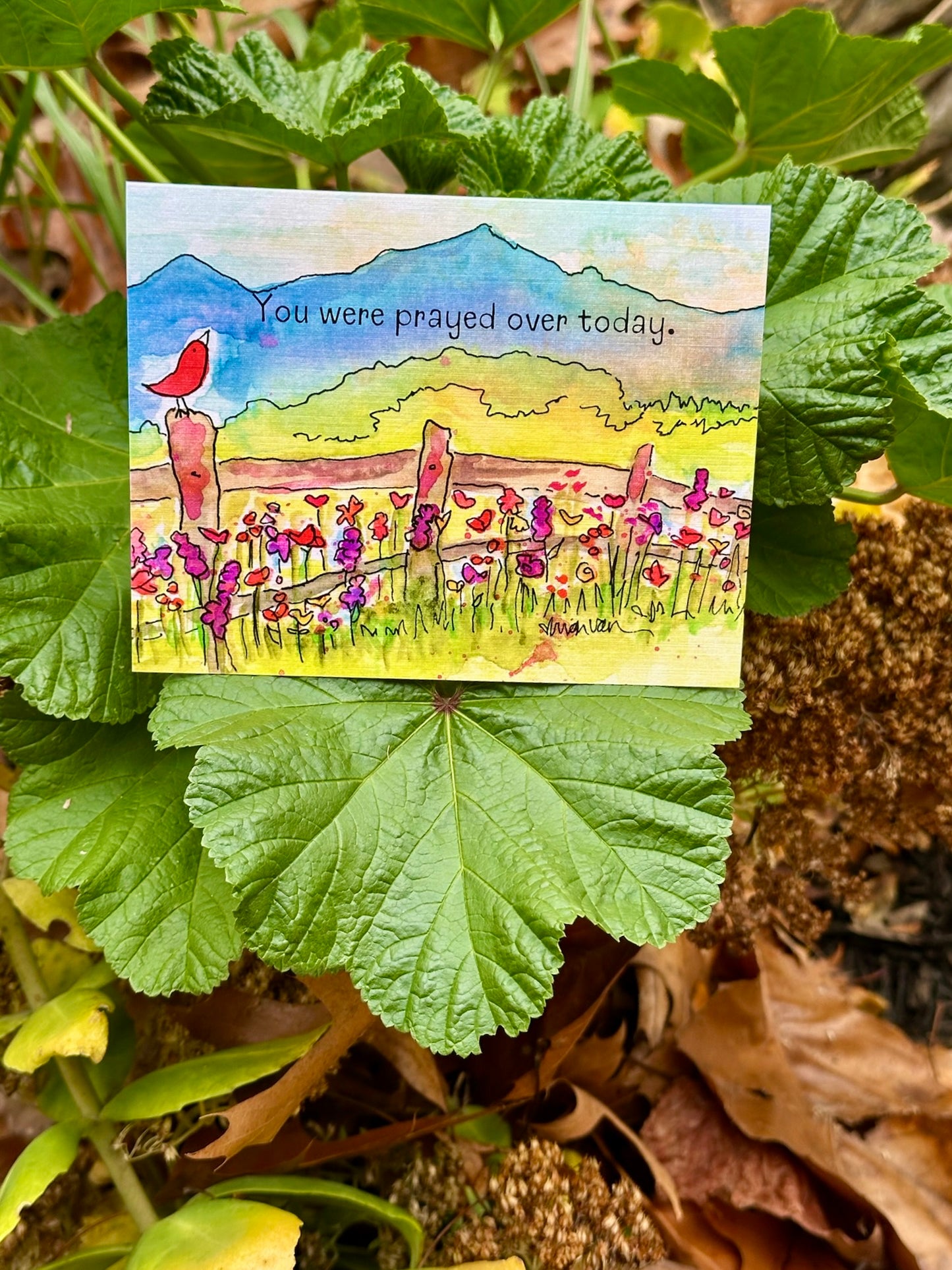 'You were prayed over today' Redbird on a Fence