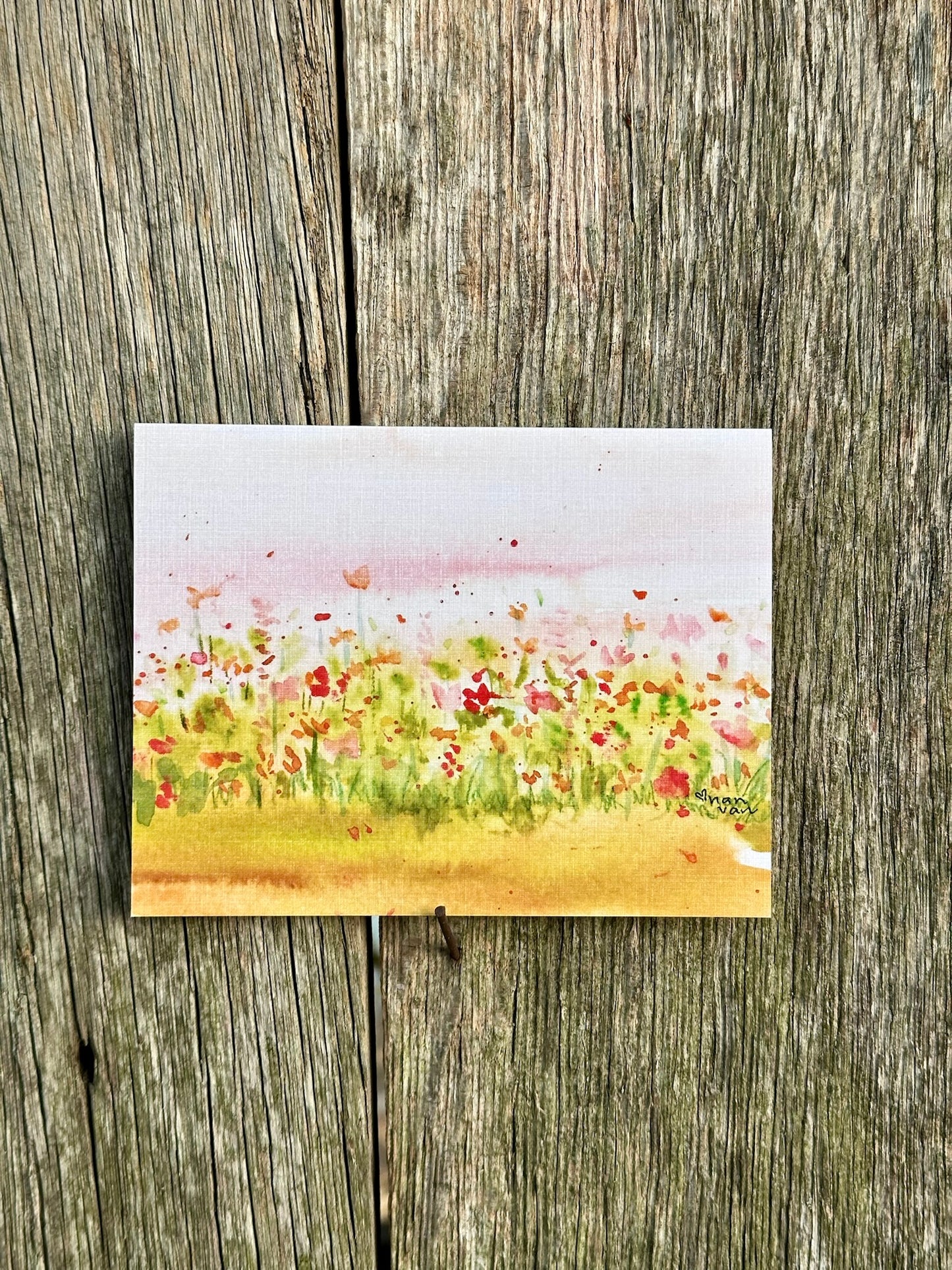 Wildflowers Soft and Warm