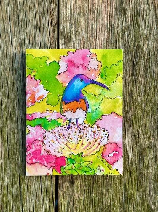 Not a hummingbird